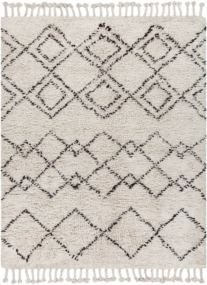 Beige Hand Woven 100% Wool Global Rectangle Handmade rug, Indoor use only, has fringe, non-washable. runner also available