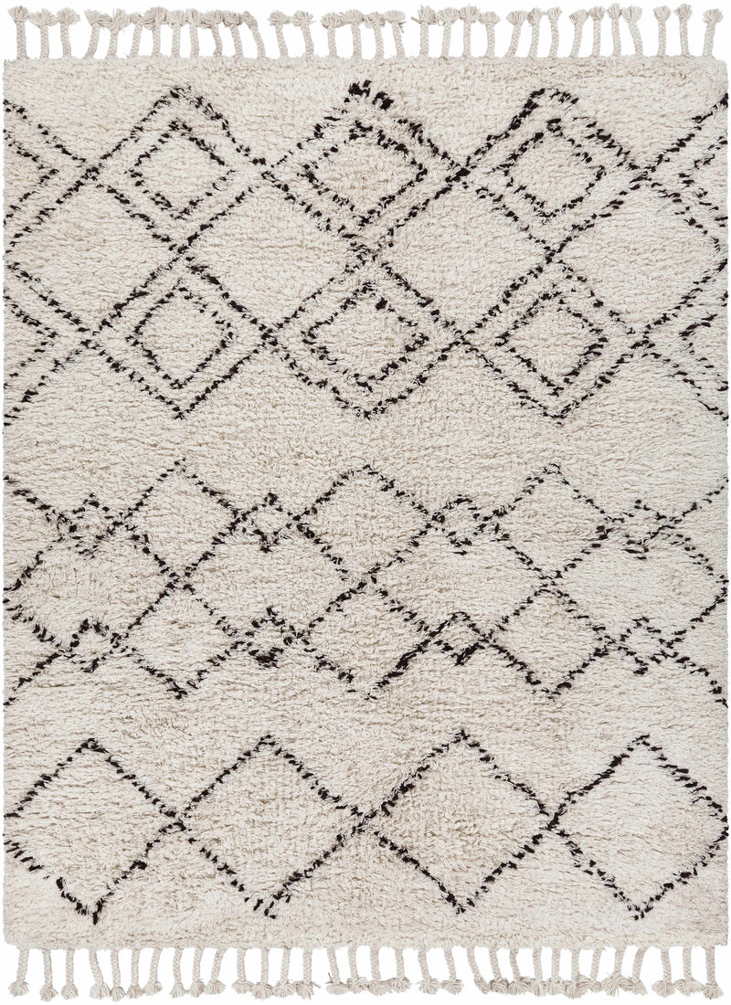 Beige Hand Woven 100% Wool Global Rectangle Handmade rug, Indoor use only, has fringe, non-washable. runner also available
