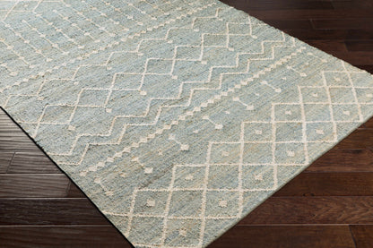 Cadence CEC-2305 Hand Woven Rug