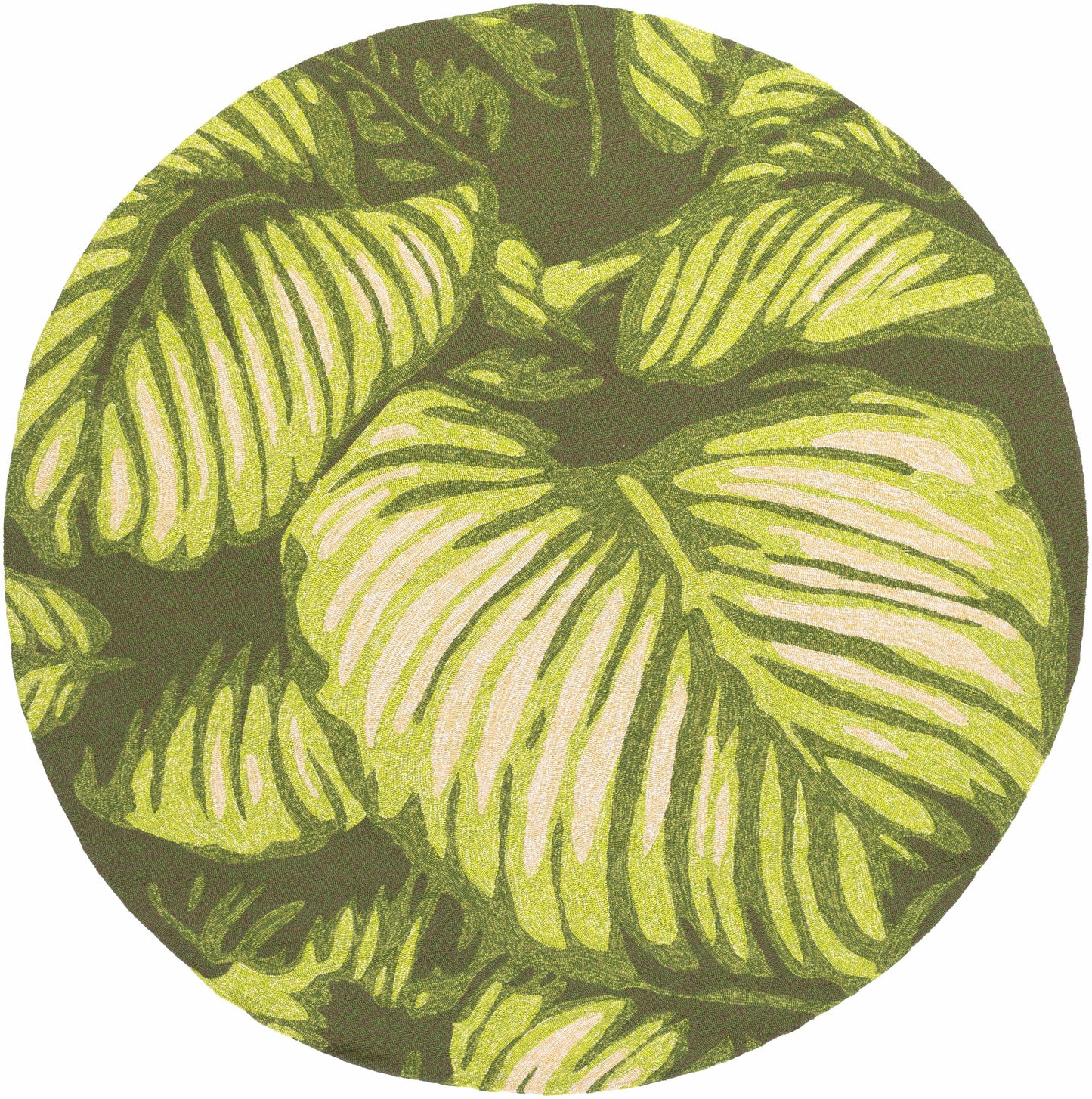 Rain RAI-1264 Hand Hooked Rug