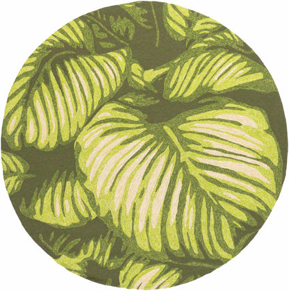 Rain RAI-1264 Hand Hooked Rug