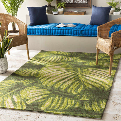 Rain RAI-1264 Hand Hooked Rug