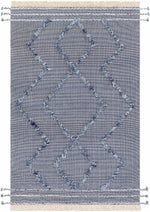 Palo Alto PLA-2300 Hand Woven Rug