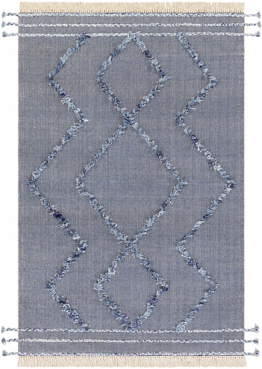 Palo Alto PLA-2300 Hand Woven Rug
