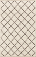 Napels NPL-2300 Hand Woven Rug