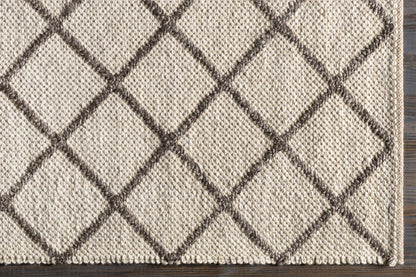 Napels NPL-2300 Hand Woven Rug