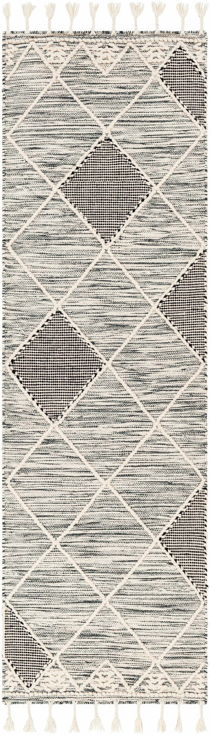 Norwood NWD-2308 Hand Woven Rug