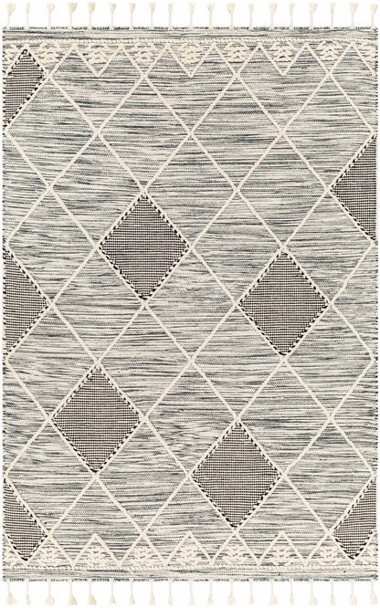 Norwood NWD-2308 Hand Woven Rug