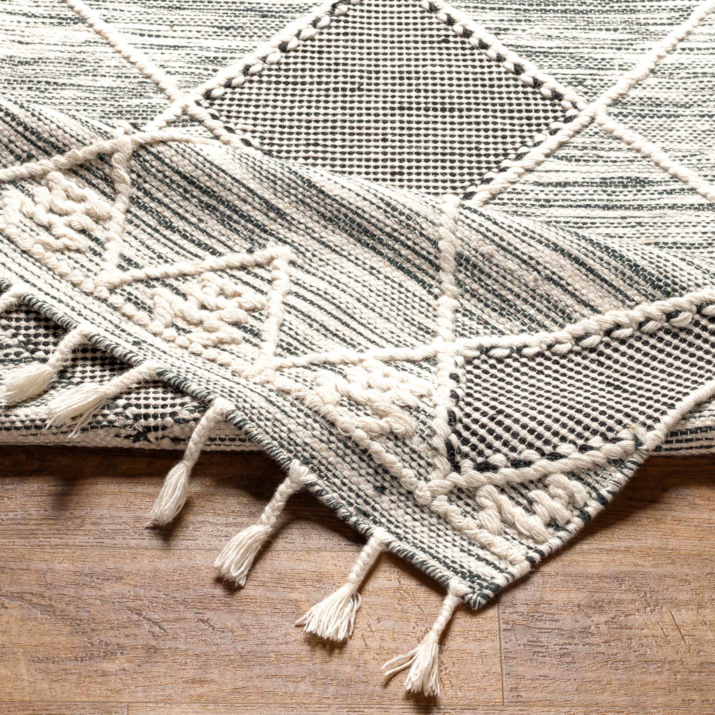 Norwood NWD-2308 Hand Woven Rug
