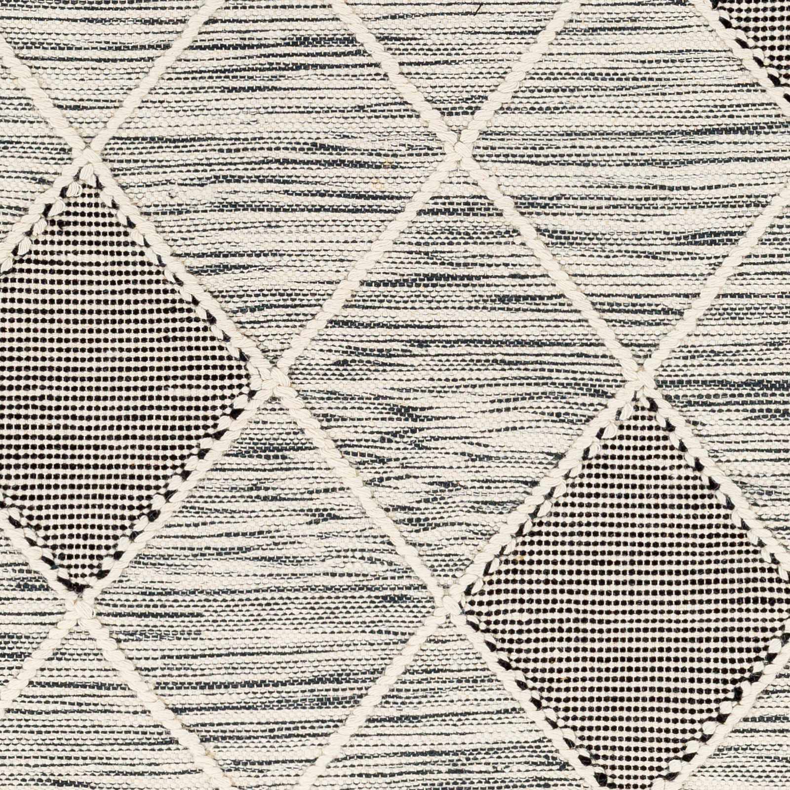 Norwood NWD-2308 Hand Woven Rug