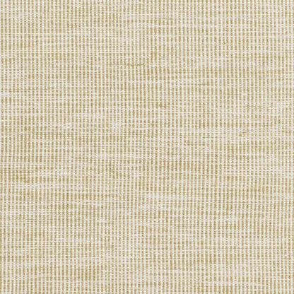 Pipton PPT-6005 Hand Woven Rug