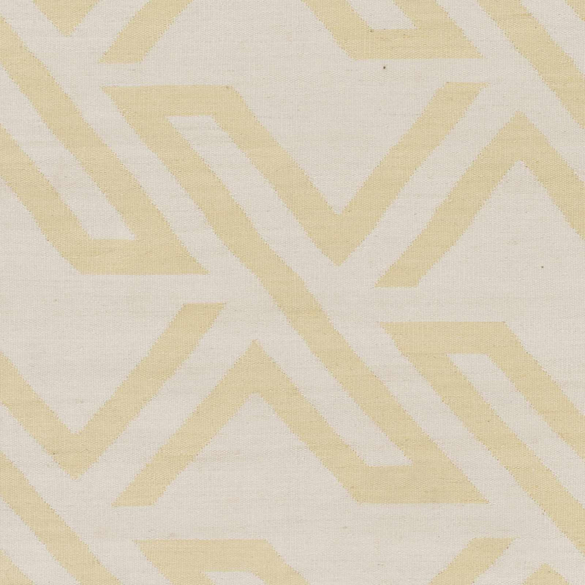 Rugs : GVY-3012