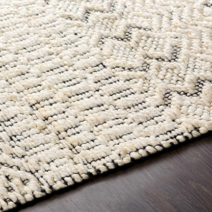 Santa Barbara SBB-2304 Hand Woven Rug