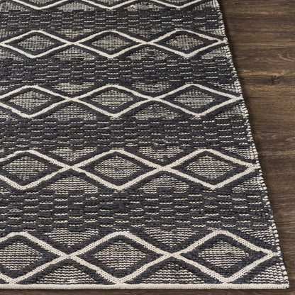Santa Barbara SBB-2308 Hand Woven Rug