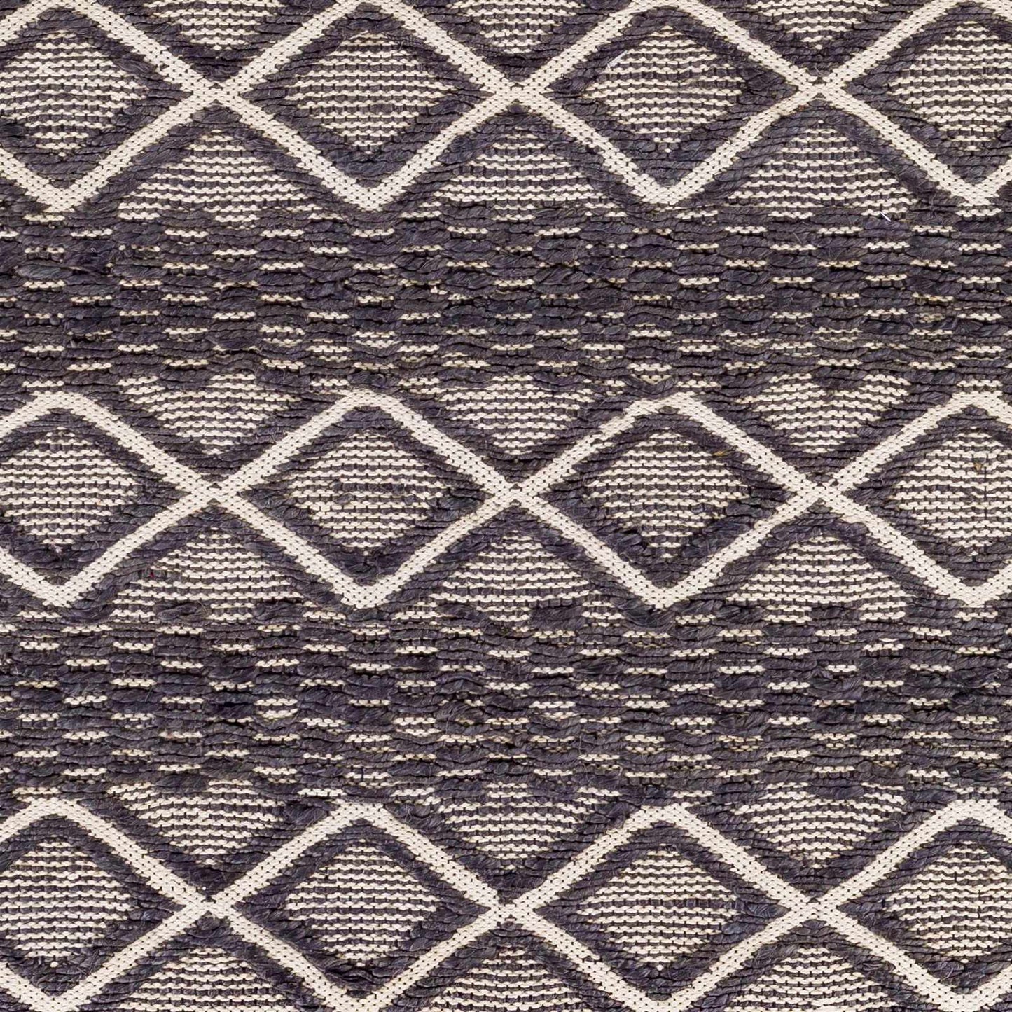 Santa Barbara SBB-2308 Hand Woven Rug