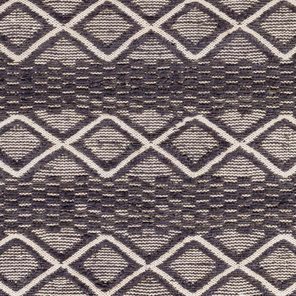 Santa Barbara SBB-2308 Hand Woven Rug