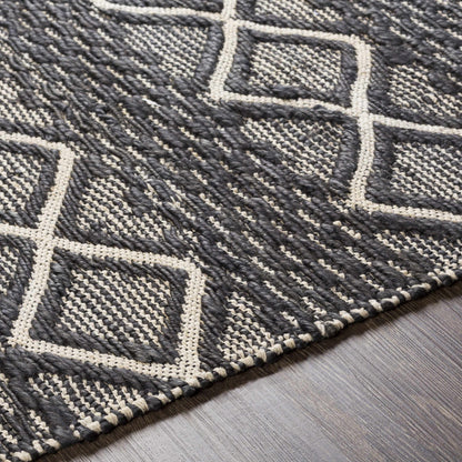 Santa Barbara SBB-2308 Hand Woven Rug
