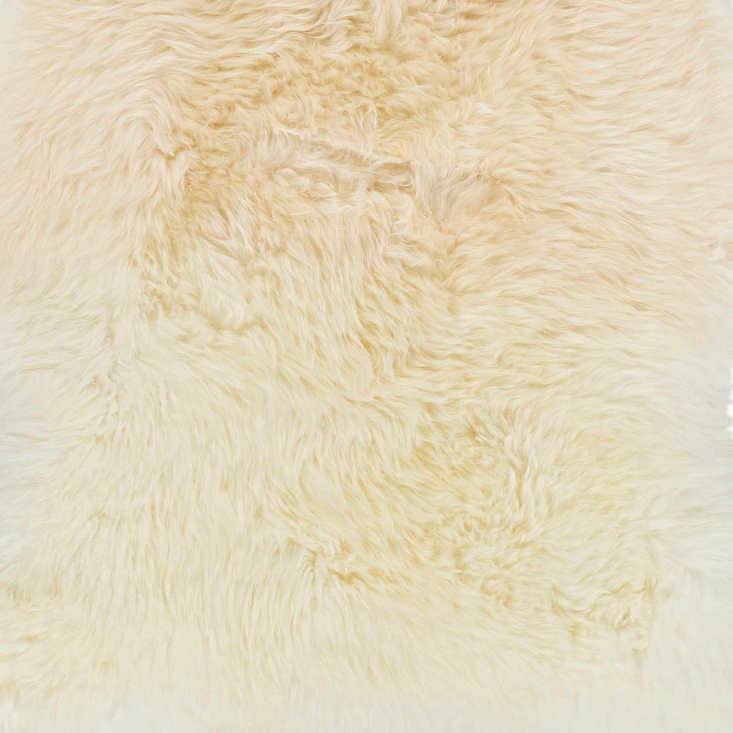 Kapuni KAP-2301 Hand Crafted Rug