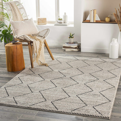 Cozy CZY-2302 Machine Woven Rug
