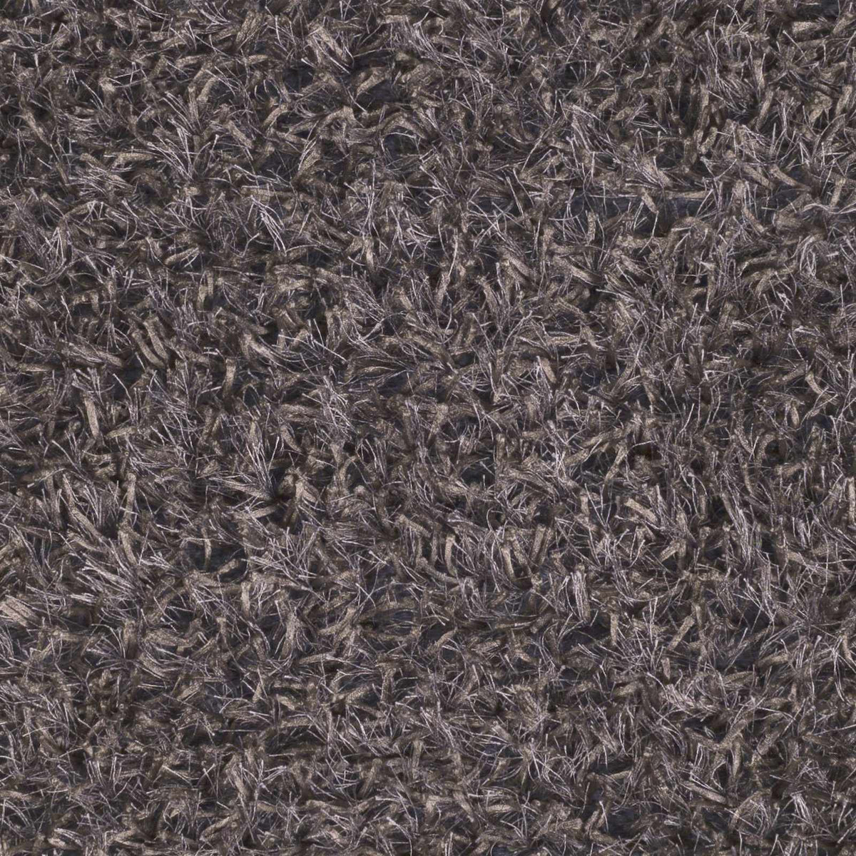 Taz TAZ-1010 Hand Woven Rug