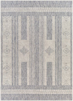 Tuareg TRG-2320 Machine Woven Rug