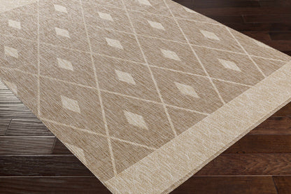 Tuareg TRG-2335 Machine Woven Rug