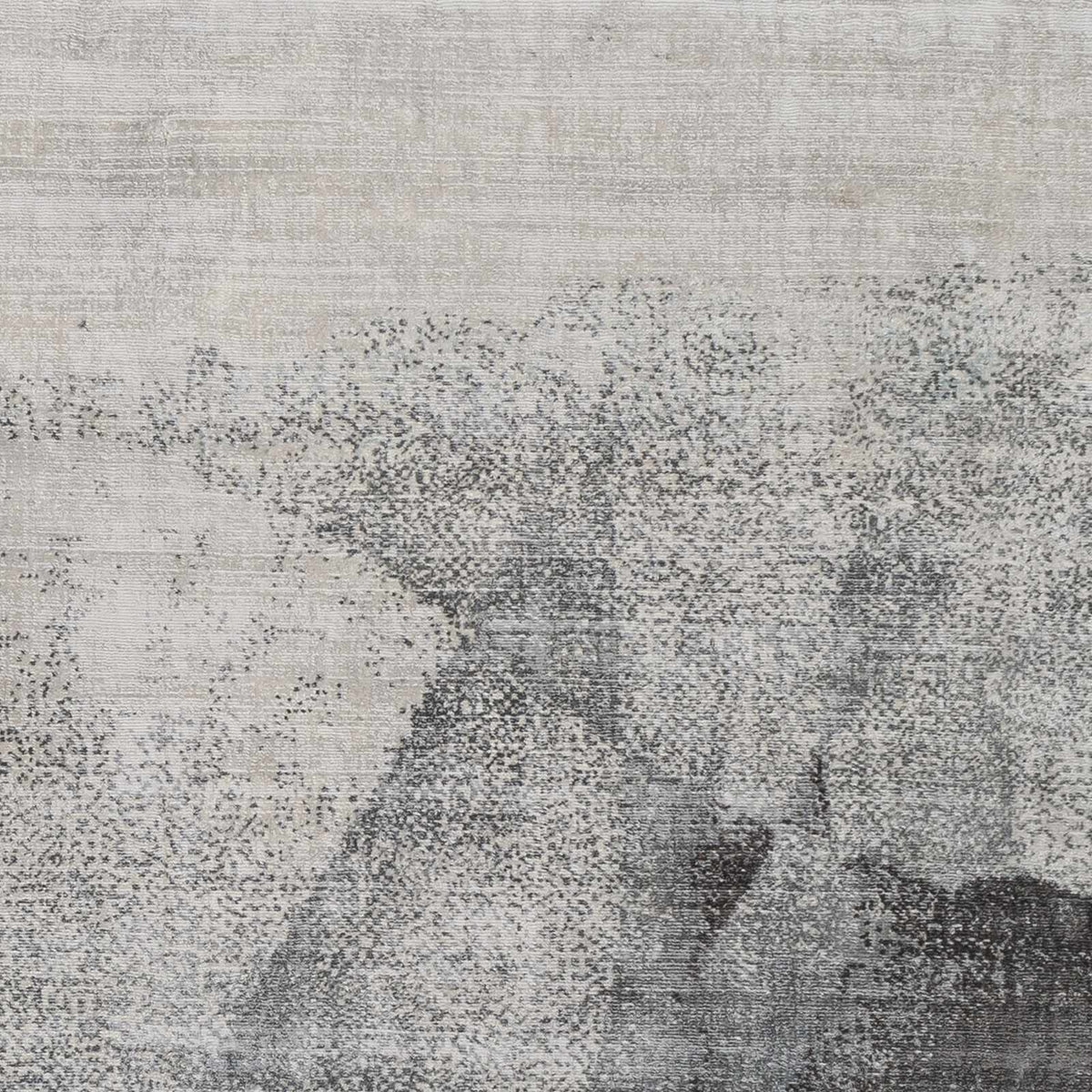 Rugs : PAV-2303