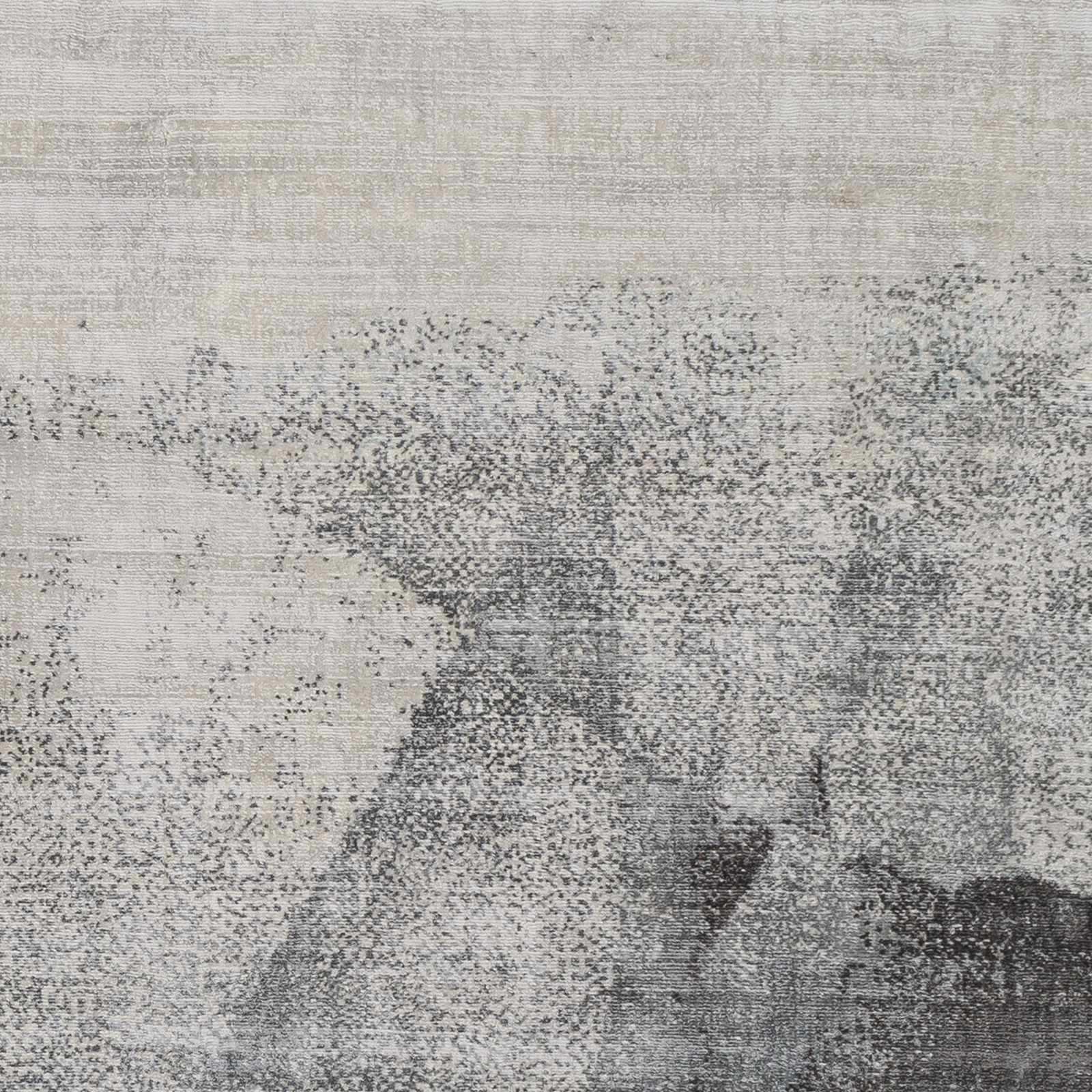 Rugs : PAV-2303