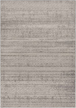 Chester CHE-2304 Machine Woven Rug