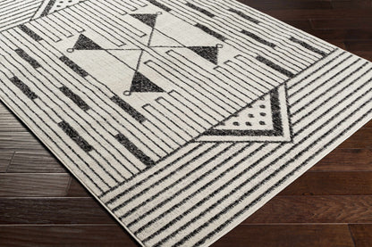 Pisa PSS-2316 Machine Woven Rug