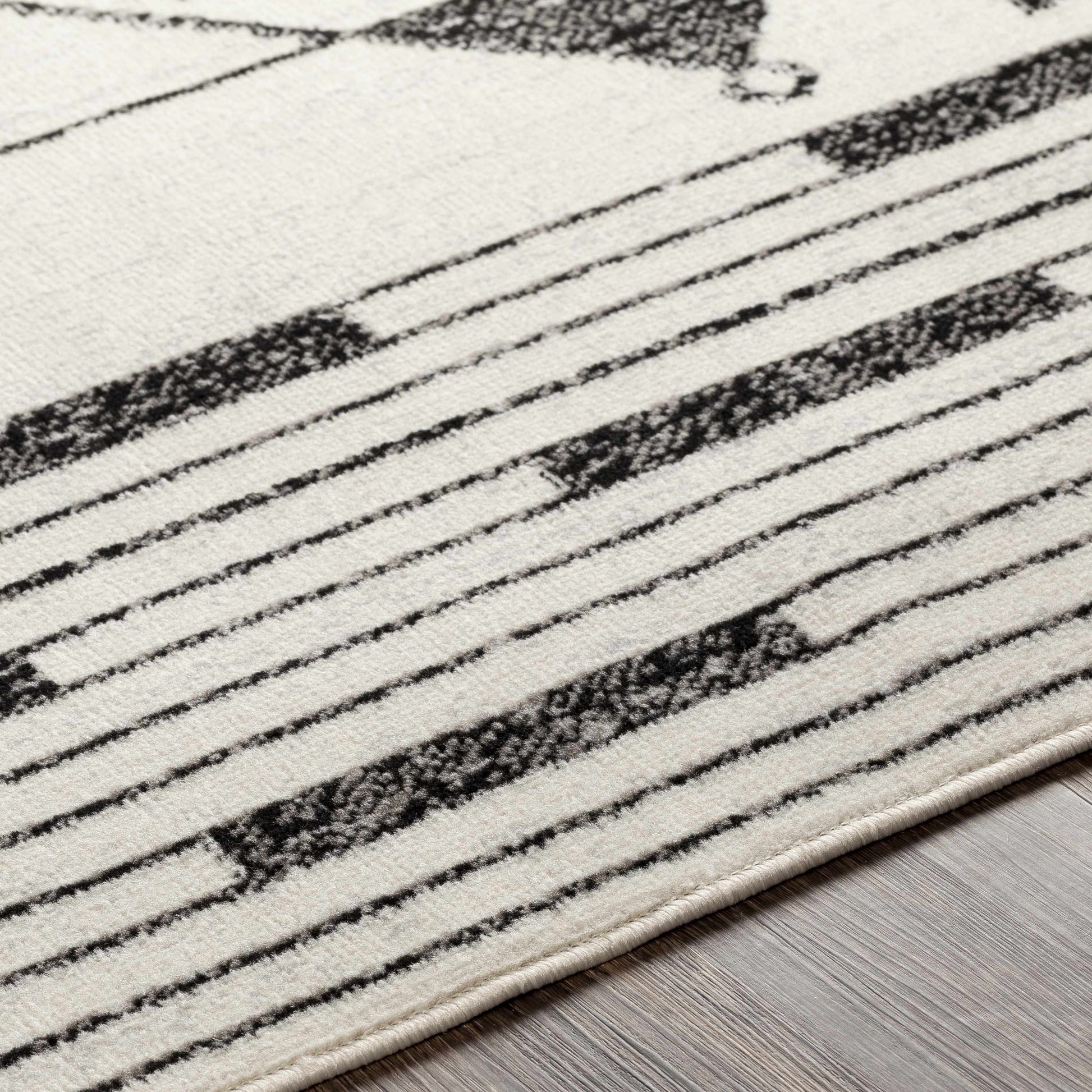 Pisa PSS-2316 Machine Woven Rug