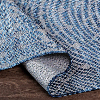 Pasadena PSA-2375 Machine Woven Rug