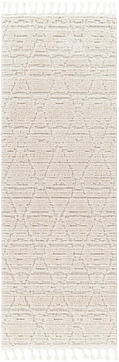 Azilal AZI-2318 Machine Woven Rug