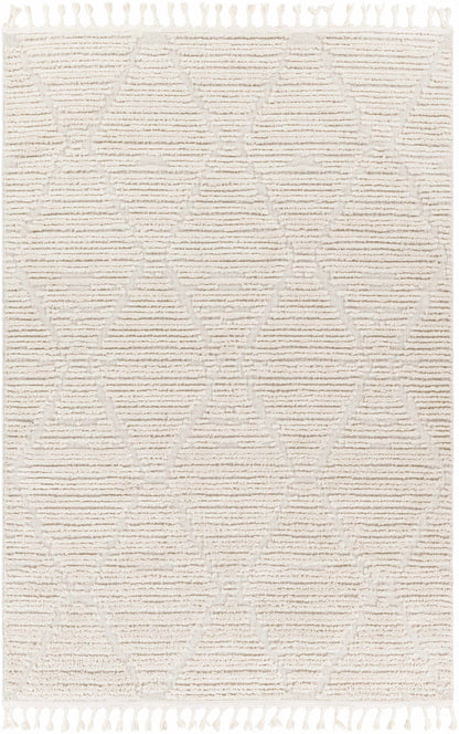 Azilal AZI-2318 Machine Woven Rug