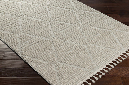 Azilal AZI-2318 Machine Woven Rug