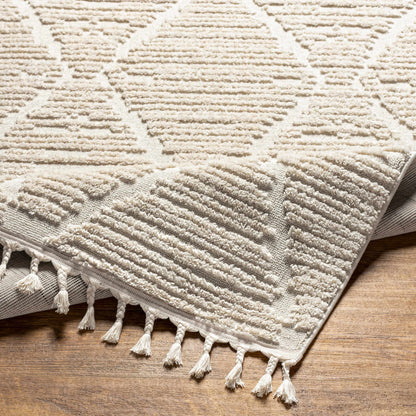 Azilal AZI-2318 Machine Woven Rug