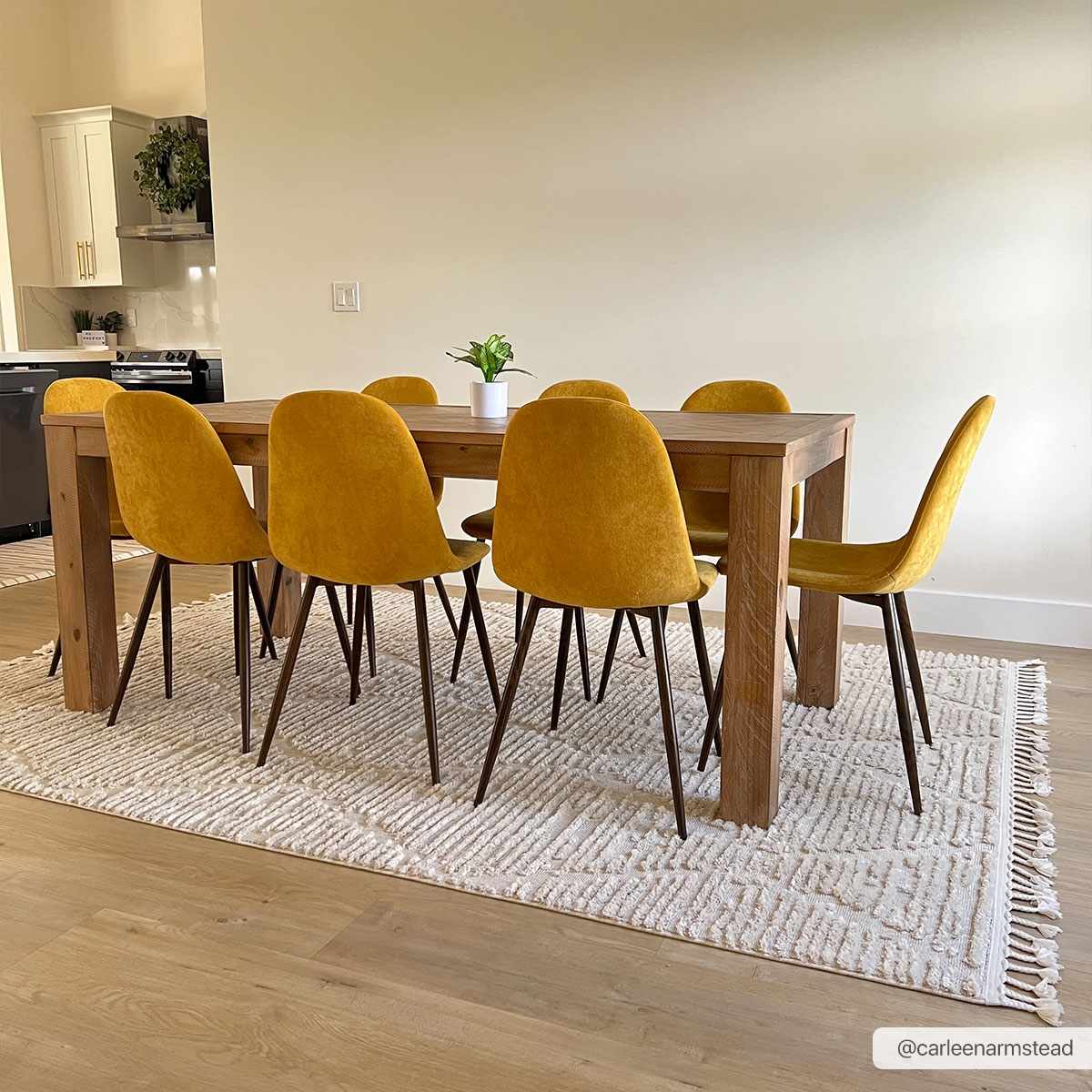 Azilal AZI-2318 Machine Woven Rug