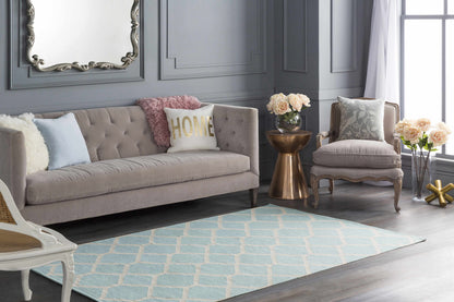 Vogue AWLT-3045 Hand Woven Rug