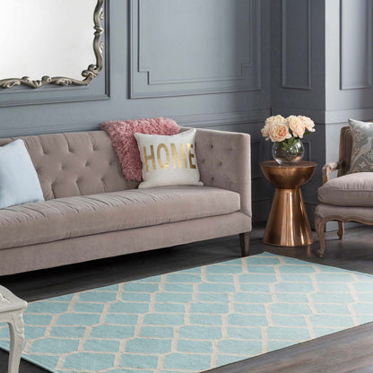 Vogue AWLT-3045 Hand Woven Rug