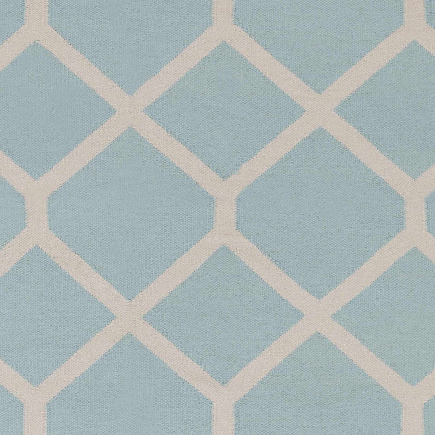 Vogue AWLT-3045 Hand Woven Rug