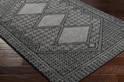 Pisa PSS-2346 Machine Woven Rug