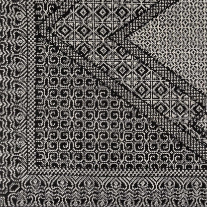 Pisa PSS-2346 Machine Woven Rug