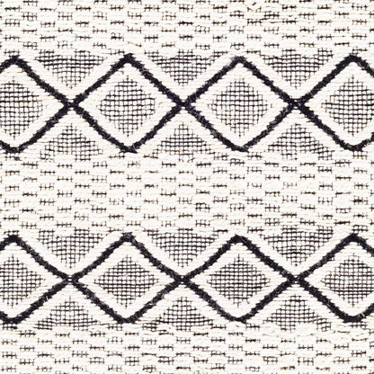 Santa Barbara SBB-2301 Hand Woven Rug