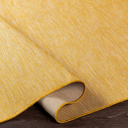 Pasadena PSA-2307 Machine Woven Rug