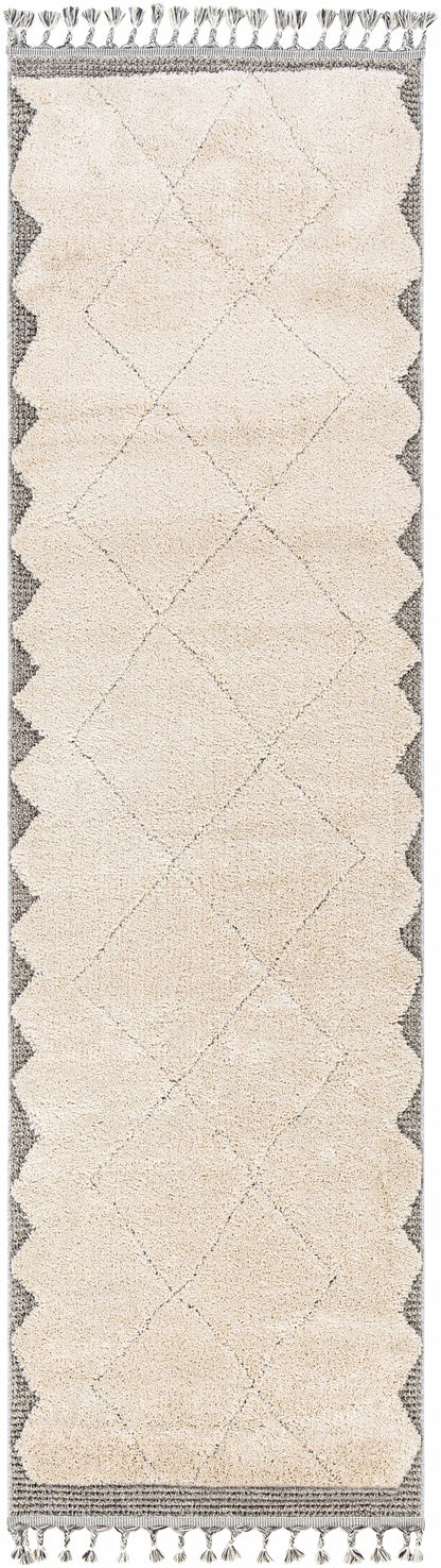 Sousse SUS-2304 Machine Woven Rug