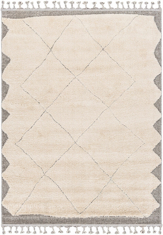 Sousse SUS-2304 Machine Woven Rug