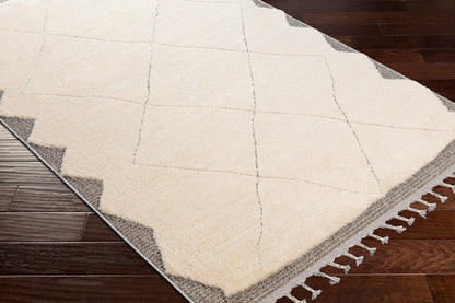 Sousse SUS-2304 Machine Woven Rug