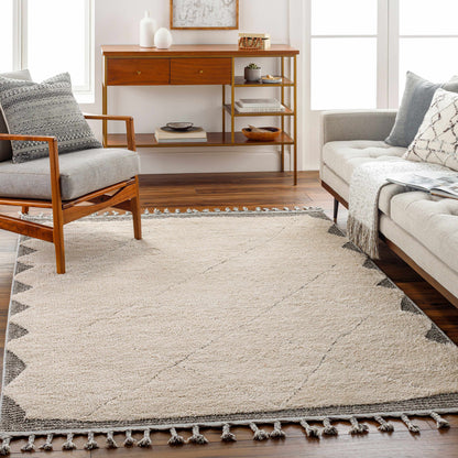 Sousse SUS-2304 Machine Woven Rug