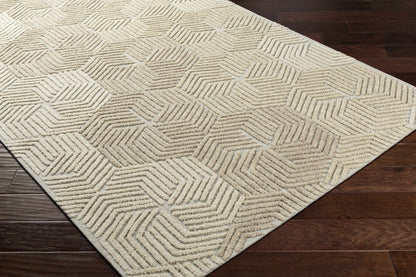 Oakland OAA-1002 Hand Tufted Rug