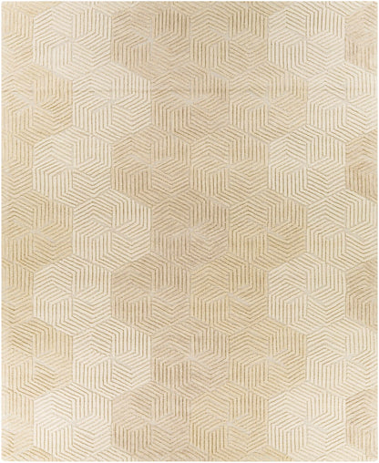 Oakland OAA-1002 Hand Tufted Rug